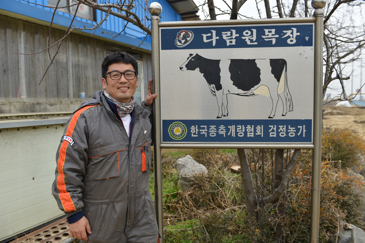  선수씨가 운영하는 다람원 농장, 목부 두 명과 함께 소 200두를 키우고 있다 .   
