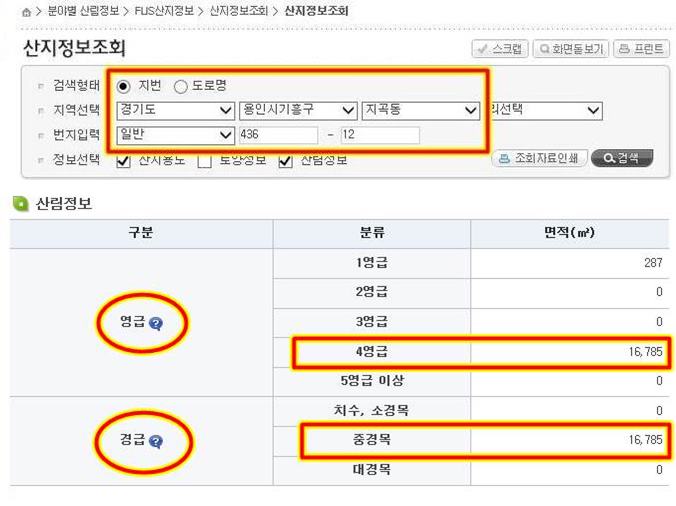 산림청 산지정보조회란에 이곳이 4영급, 중경목 지역으로서 개발이 불가능한 8등급임을 정확하게 보여주고 있습니다. 