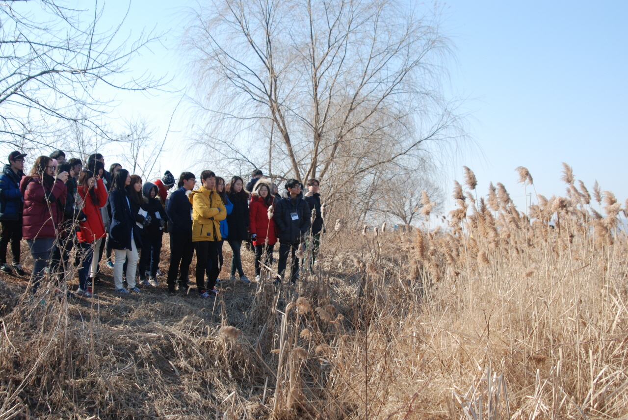 에코로드 대학생 30여명이 골프장 예정지인 김포공항 습지를 바라보고 있다.