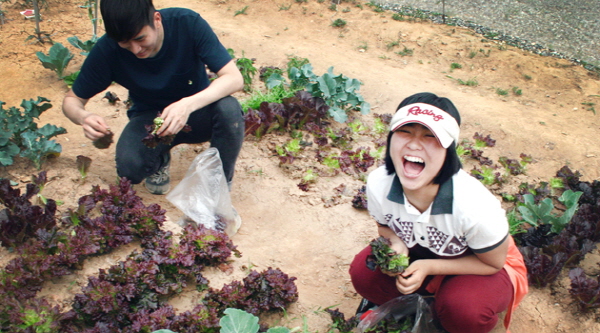 도시농업을 통해 청년 발달장애인의 사회적참여를 돕는다