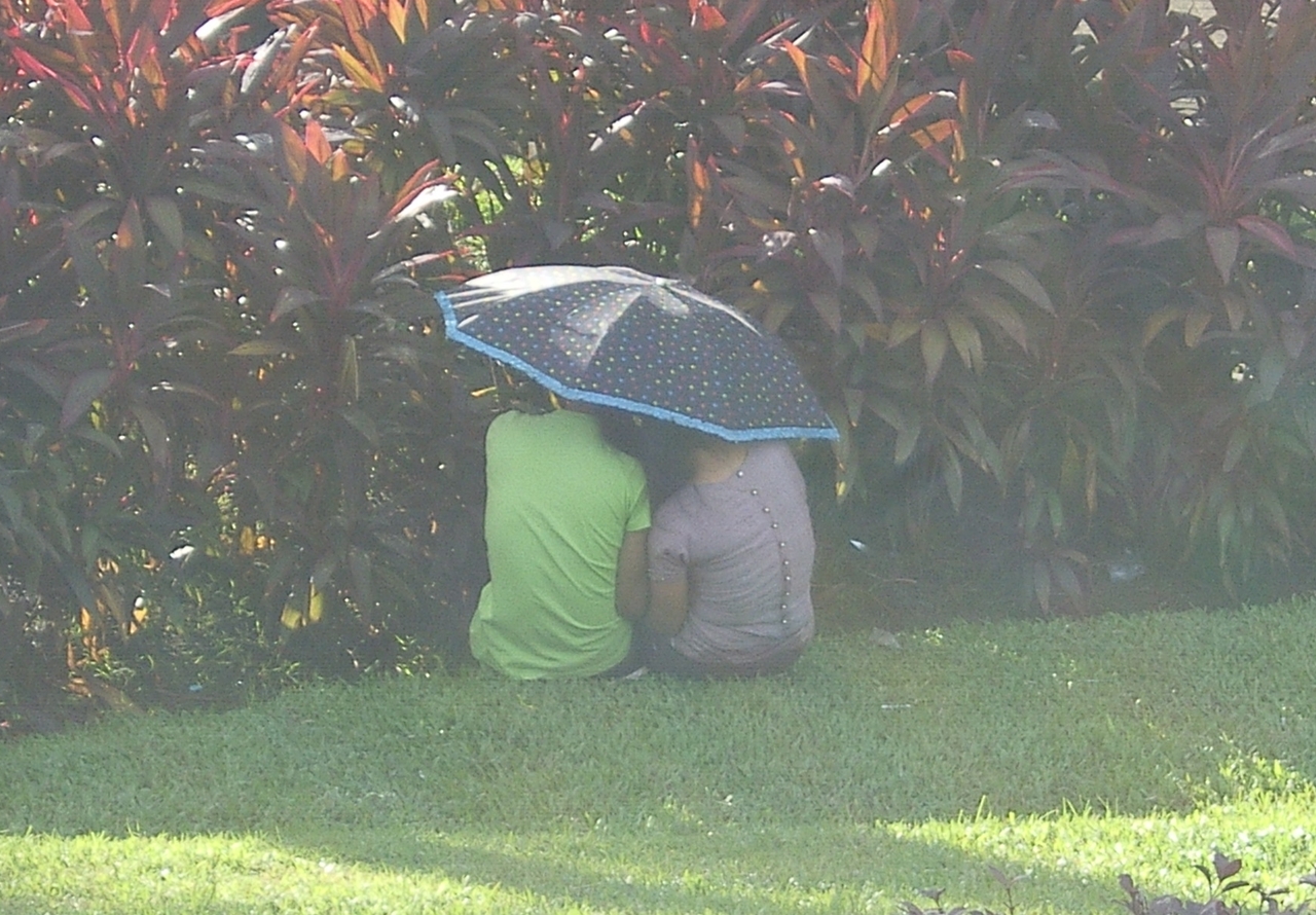 우산족 3 : 인야 호숫가 우산 속 연인 