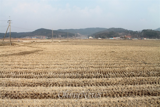 군산 나포삼거리에서 길을 건너니 너른 평야가 펼쳐진다. 