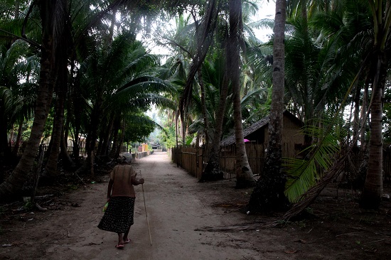 시발탄 바랑가이 코코넛 야자나무 숲 마을 길