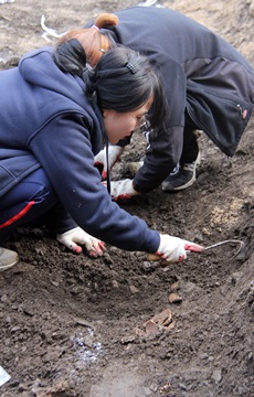 자원봉사자들이 조심스레 호미질을 하며 유해를 발굴하고 이다.  