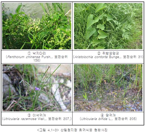 대전시 월평공원 갑천 습지보호지역 지정을 위한 최종보고서(2011) 중에서