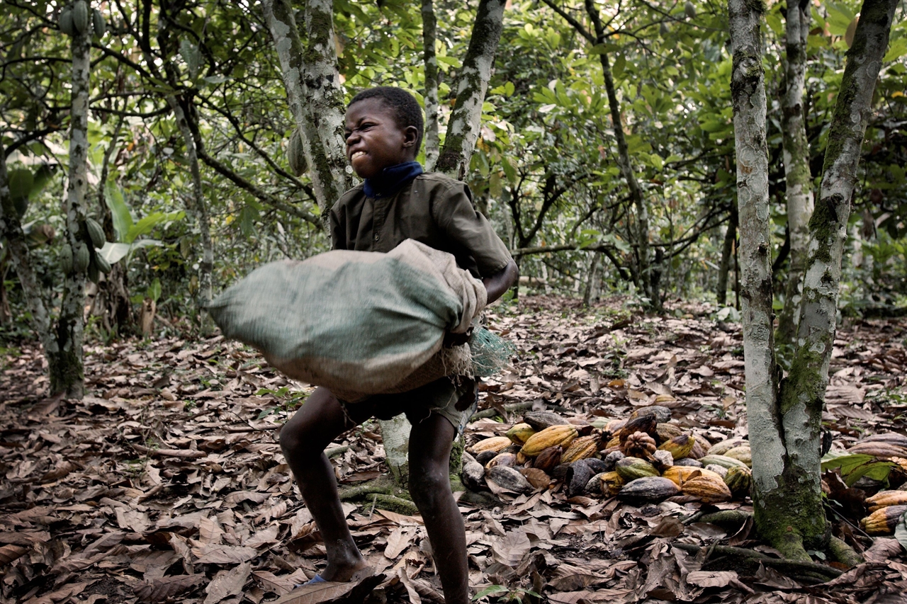 아이들이 좋아하는 초콜릿의 원료인 카카오의 70%는 서남아프리카 지역에서 생산되며, 코트디부아르에서만 약 30만명의 아동들이 노예노동에 착취당한다.