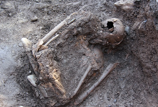 구멍 뚫린 두개골(가운데)을 중심으로 아래쪽이 팔뼈이고 윗쪽은 다리뼈다. 시신의 다리가 머리쪽으로 접혀 있음을 보여준다.