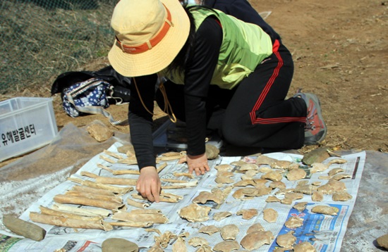한 유해발굴 자원봉사자가 수습한 유해를 정돈하고 있다.