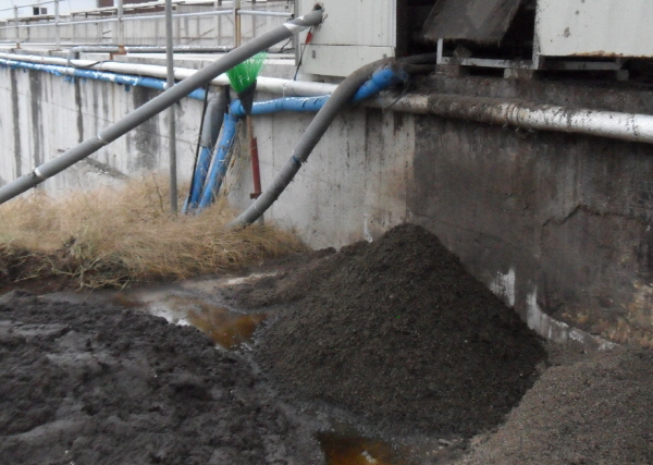 공장식축산 농장에서 배출되는 가축분뇨, 퇴비재료로 사용된다.