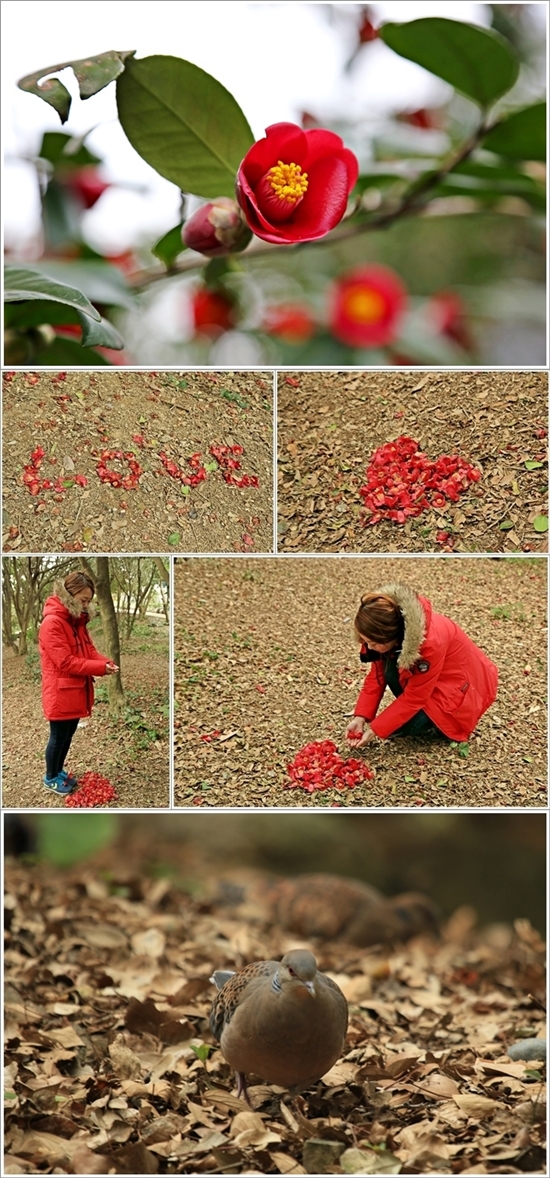 산책로 풍경