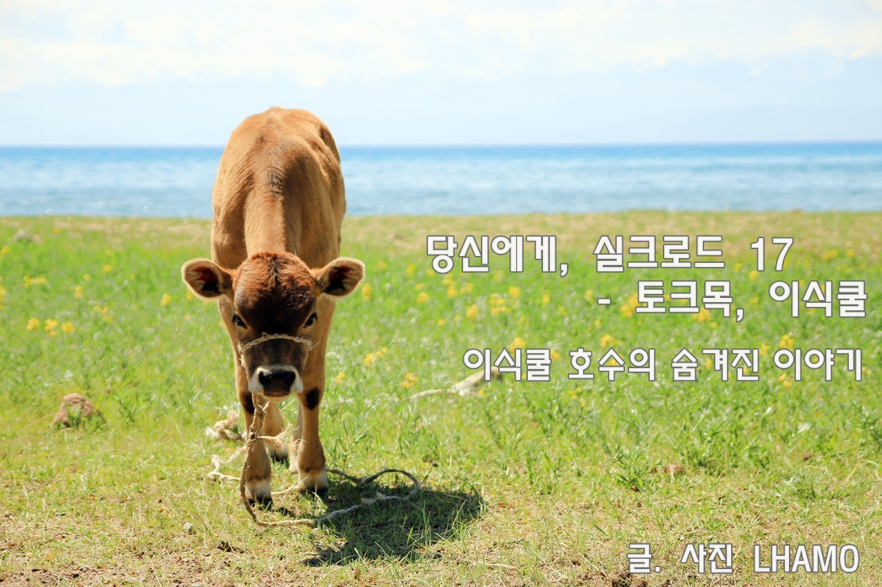 이식쿨 호수의 숨겨진 이야기 