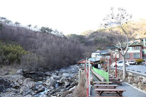 지리산 피아골 계곡과 어우러진 김미선씨의 집. 계곡과 나란히 자리하고 있다.