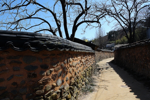 약 500여 년 전에 형성된 남사마을은 ‘우리나라에서 가장 아름다운 마을’ 1호로 뽑혔는데 조선 시대 전통적인 양식을 갖춘 고택이 여러 채 있다. 
