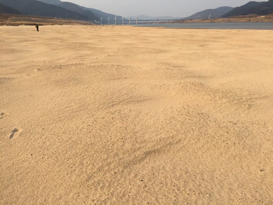  합천창녕보에 다시 거대한 모래톱이 돌아왔다. 다시는 준설해서는 안 된다. 정말 귀한 모래톱이다.