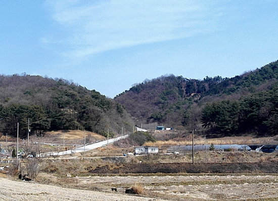 마을 당산나무 아래에서 바라본 어래산 줄기, 전형적인 시골 고갯길 모습이다.
