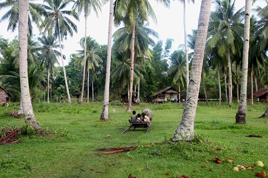 코코넛야자나무 숲 속 니파 헛과 소달구지 타고 가는 아이들