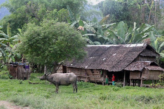 원주민 마을 니파 헛