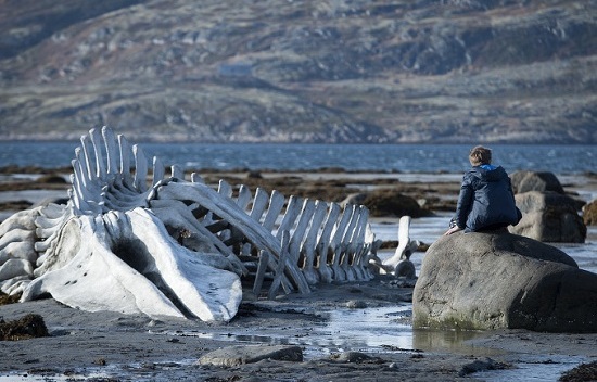  콜랴의 아들 로마가 해안가로 쓸러 온 거대한 고래 뼈 앞에서 울고 있다. 뼈만 남은 고래는 국가로서의 기능을 상실한 이 영화의 핵심 메시지다. ‘욥기’에서 리바이어던은 고래로 묘사된다. 