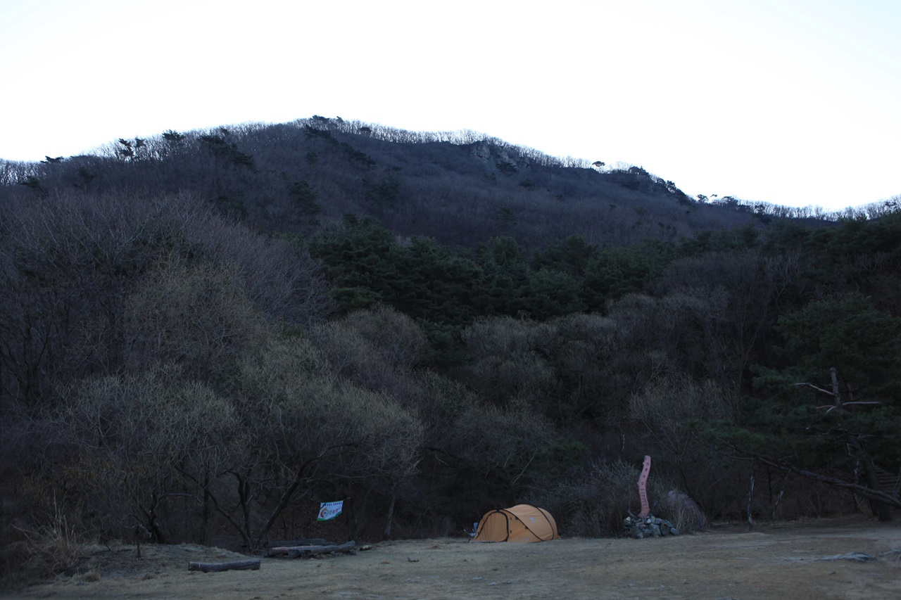 이제 막 찾아온 봄의 풍경입니다