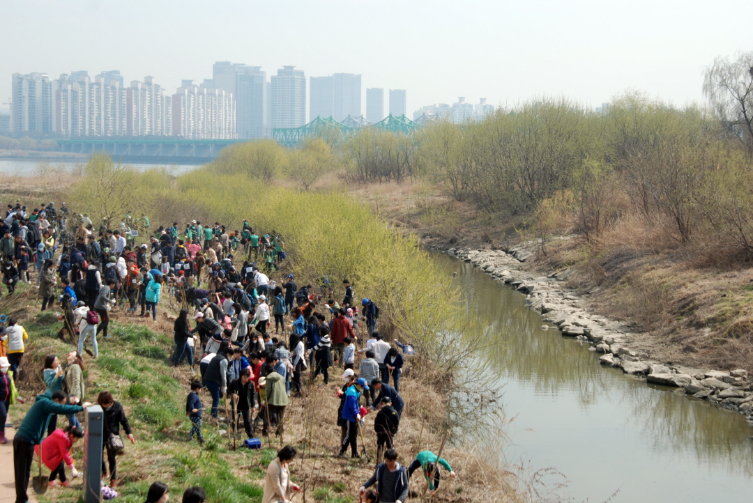 서울환경연합은 350여 명의 시민, 회원들이 참여한 탄소줄이기 한강숲 조성 온난화식목일 행사를 열었습니다.
