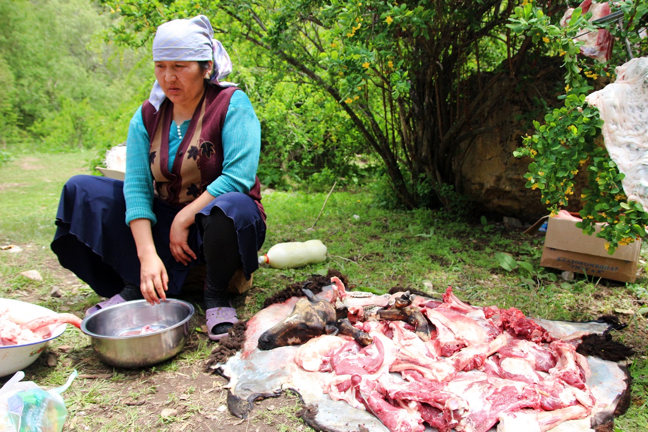 즉석에서 양 한마리 잡는 키르기스스탄 소풍법 