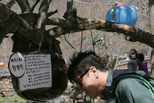  대원사의 왕목탁. 손이 아닌 머리로 두드리는 목탁이었다. 목탁을 매달고 있던 사철나무가 폐사하면서 지금은 내려지고 없다. 사진은 지난해 이맘때 모습이다.