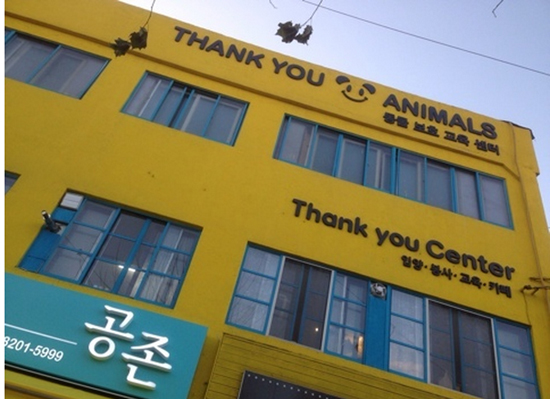 일베의 악플 손해배상금으로 개소된 서울 동대문구 답십리 3층짜리 건물에 위치한 '동물보호 교육센터'의 이름은 '땡큐 애니멀스'라고 지칭했다. 총 1층은 '공존'이라는 '비건' 채식 카페로 운영되며 2층과 3층은 동물을 입양하고 봉사하고, 교육하는 장으로 활용된다.