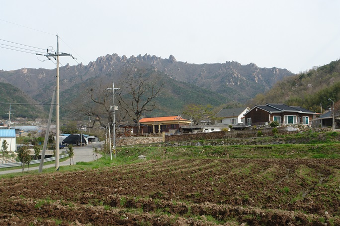 뛰어난 경관을 배경으로 백운동 원림이 있다.