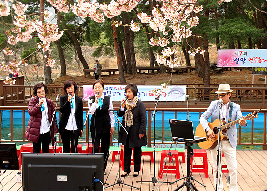 설악산 벚꽃축제 현장에서 출연자들이 노래자랑 장기를 보여 주고 있다. 