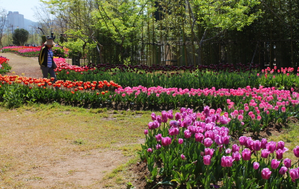 진주봄꽃축제장은 눈을 어디에 둬야 할 지 몰랐다. 여기저기 눈길과 발길 닿는 곳마다 만나는 꽃의 색과 냄새를 맞닥뜨릴 수 있는 풍경이 펼쳐졌다.
