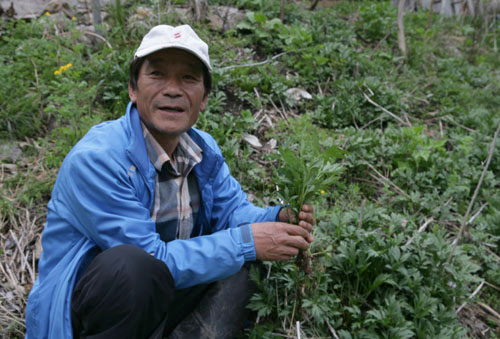 백아산에서 산나물공원을 가꾸고 있는 김규환 씨. 서울에서 살다가 9년 전 귀농했다.