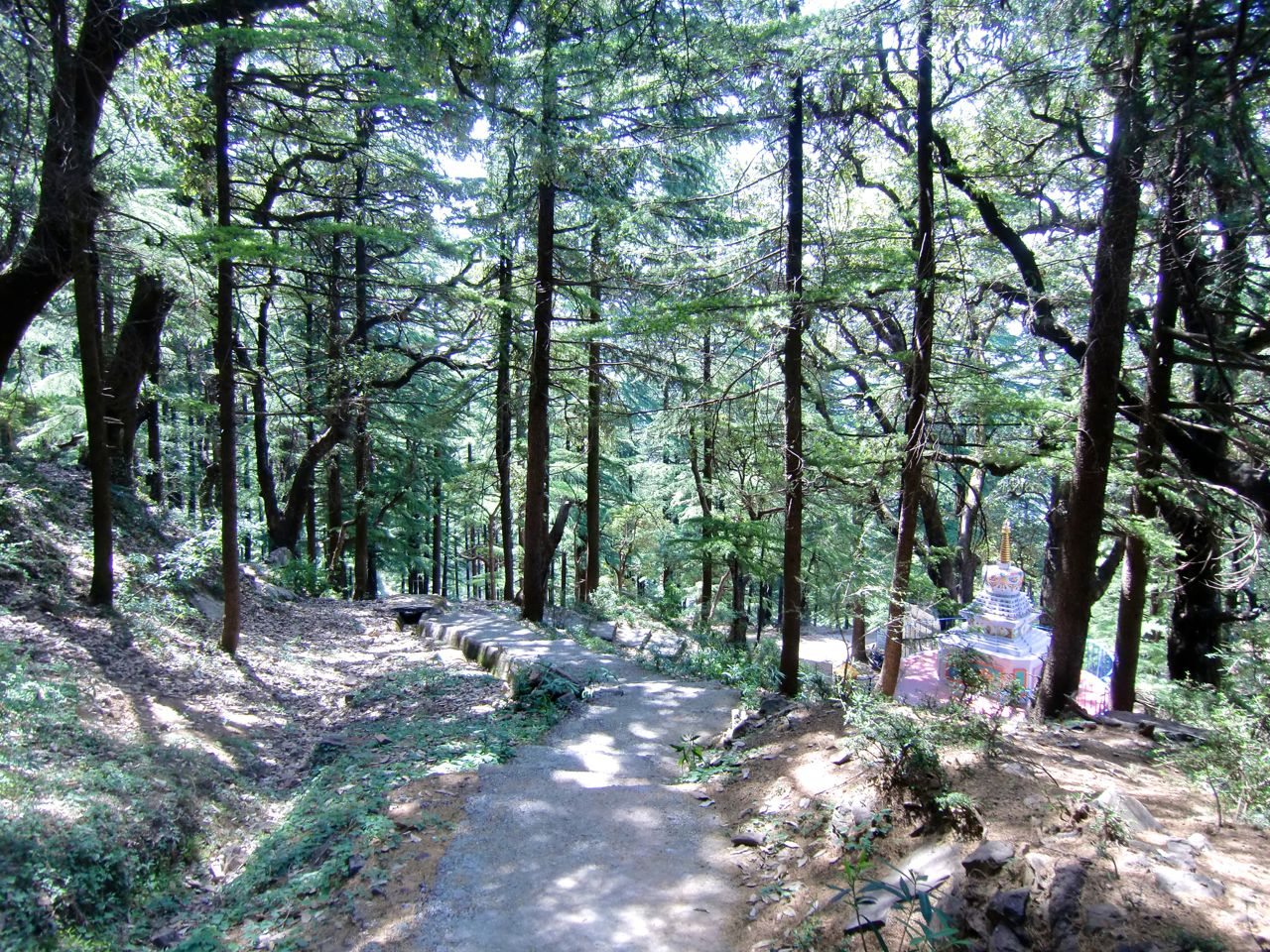 맥그로드 간지 산책길. 맥그로드 간지에는 코라 산책길 말고도 숲과 마을을 따라 걷는 기분 좋은 산책길이 많다. 