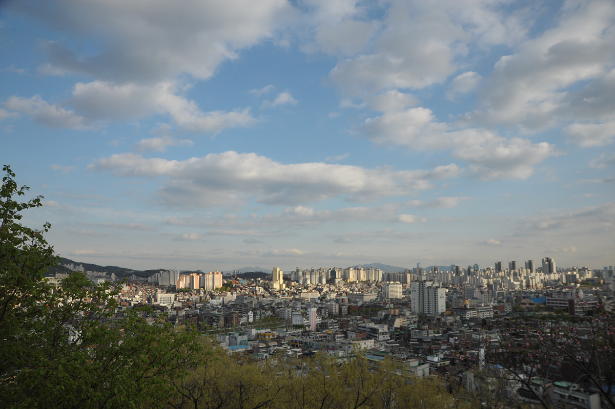  비단산에서 바라본 시내 모습