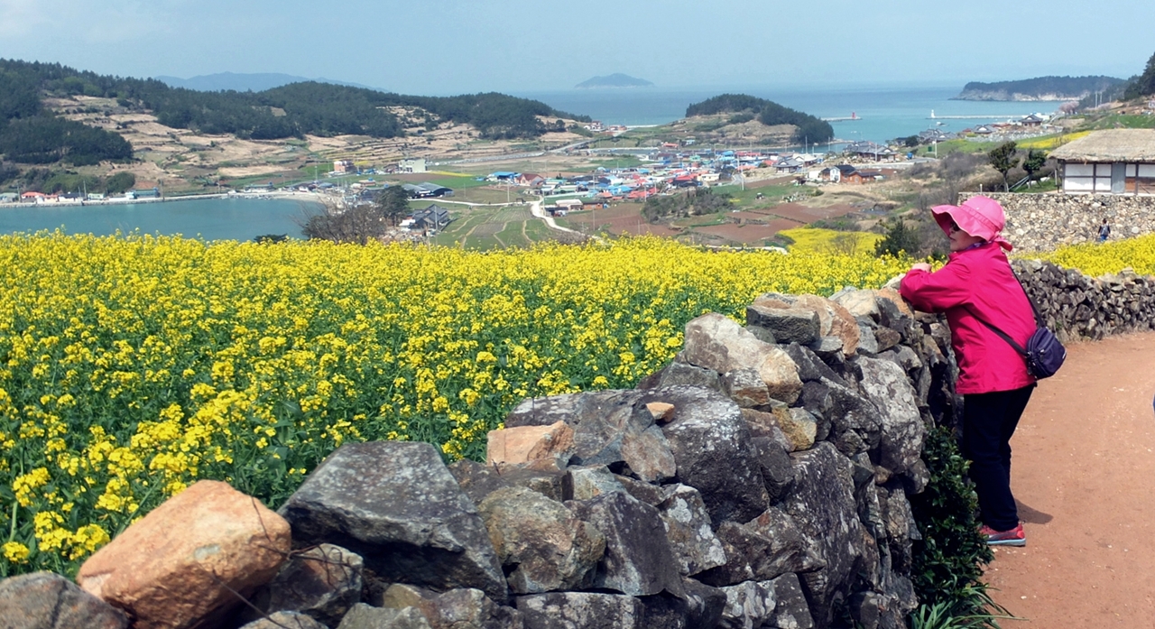 4월에 가장 걷기 좋고 풍광 좋은 섬 마을 청산도.