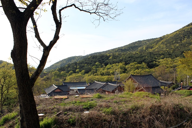  여수 흥국사 뒷모습입니다. 누구나 뒷모습은 있습니다. 하지만 별 무관심입니다. 그게 '나'인 것을….