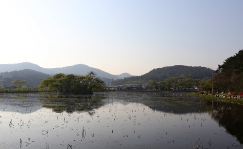  상동마을 용연저수지 풍경. 물 속에 반영된 그림자까지도 아름답다.