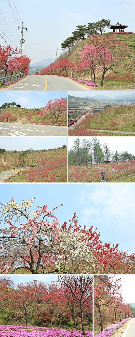 청산동산