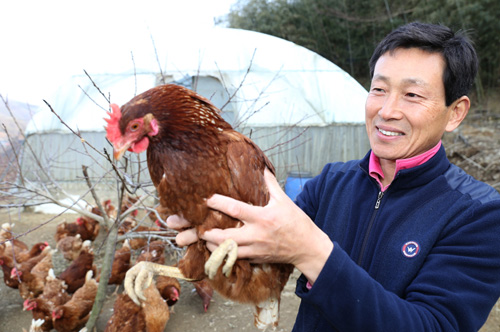 귀농인 정흥호 씨가 자신의 농원에서 노니는 재래닭 한 마리를 들어보이고 있다.