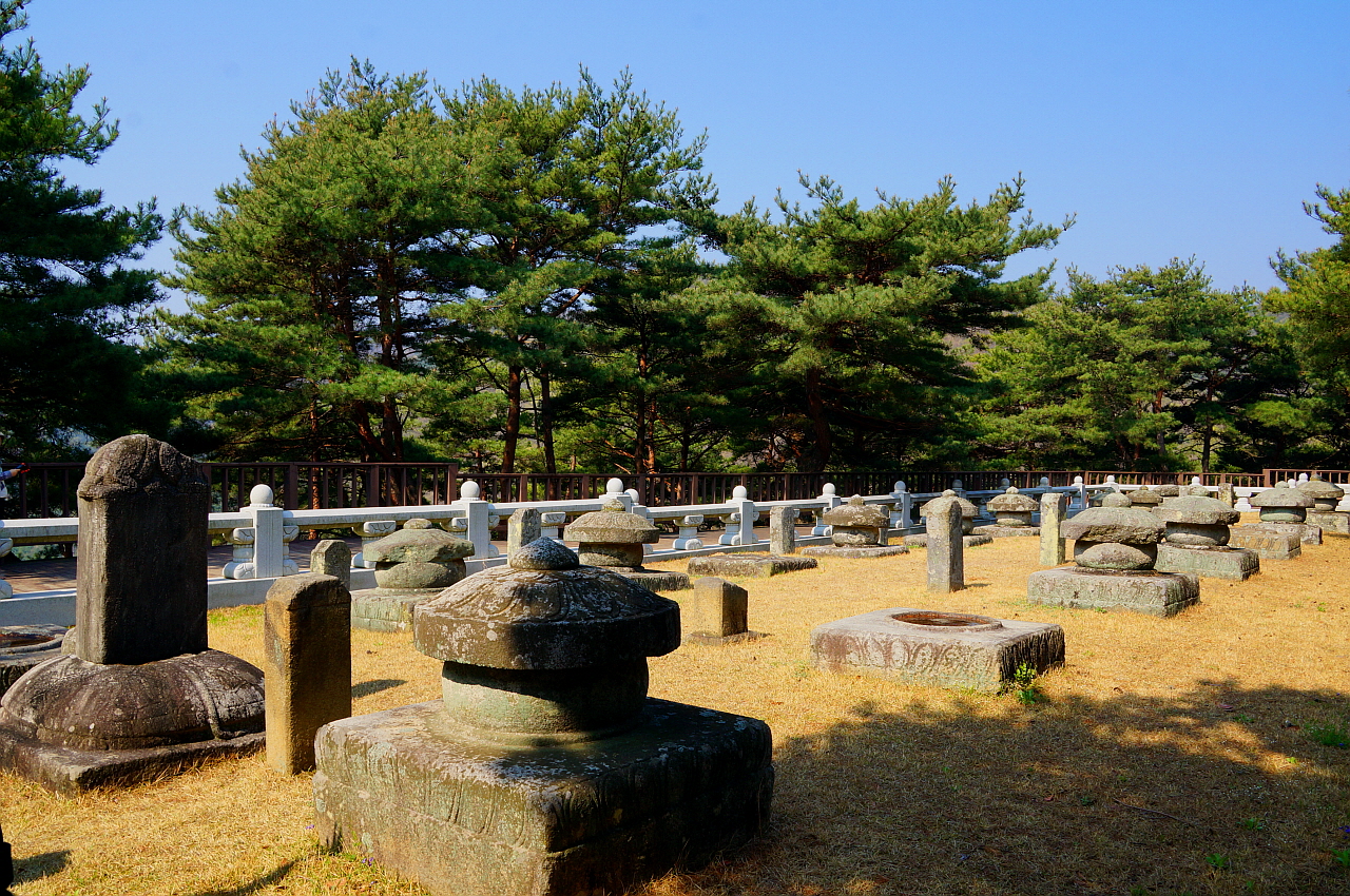 성주의 진산 선석산 아래 태봉 꼭대기에 있다. 수양, 금성, 안평을 비롯한 19기 태무덤이 두 줄로 늘어서 있다. 성주는 생·활·사, 즉 사람이 나서 살다가 죽는 공간을 다 갖추었다 자랑삼는데 그중에 생의 공간이다