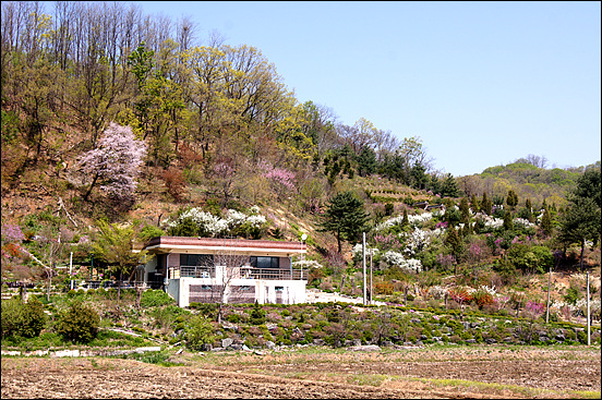 2015 평화누리길 걷기 구간에 울긋불긋 아름다운 꽃이 핀 꽃 동네를 지나고 있다. 