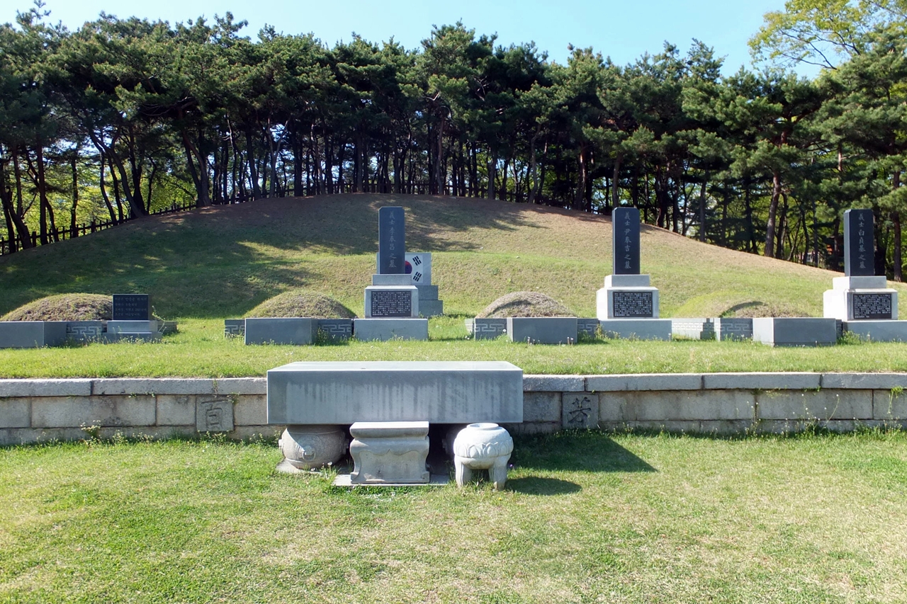 푸르른 소나무들이 뒤로 서있는 삼의사(三義士)의 묘, 맨 왼쪽이 안중근 의사의 가묘다.