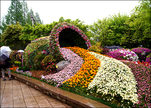 꽃중의 꽃 2015 “고양국제 꽃 박람회”가 열리고 있는 현장 모습입니다. 
비가 내려 꽃은 싱싱해서 좋으나 관람객이 많이 불편하다. 