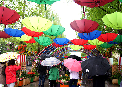꽃중의 꽃 2015 “고양국제 꽃 박람회”가 열리고 있는 현장 모습입니다. 비가 많이 내려서 박람회장이 많이 혼잡하다.