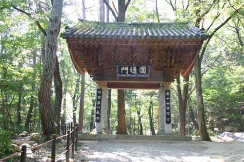  요즘 자주 산책 가는 치악산 구룡사 들머리(원통문)