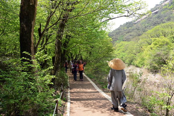 깨달음의 길 편안하게 걷는 스님의 길을 한참이나 따라 걸으며 물었다. '나는 누구인가'.