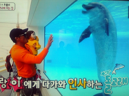 일본에서도 수족관에 사는 돌고래를 만난 적 있는 사랑이('슈퍼맨' 화면 캡처)