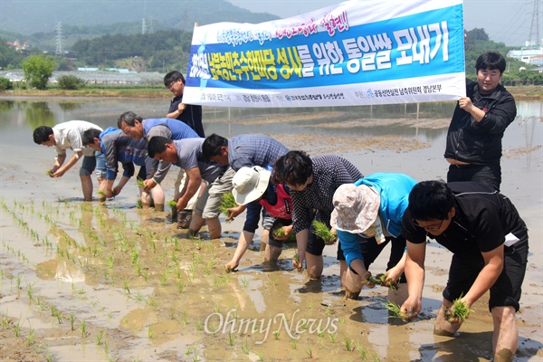 전국농민회총연맹 부산경남연맹은 19일 오전 창원 동읍 논에서 '남북농민추수한마당 성사를 위한 통일쌀 보내기 행사'를 열었다.