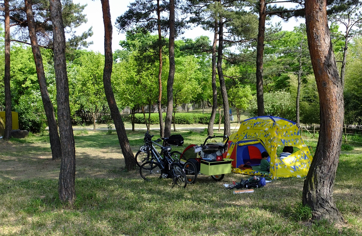 공원 곳곳에서 한가로이 자전거 캠핑을 즐기는 시민들.