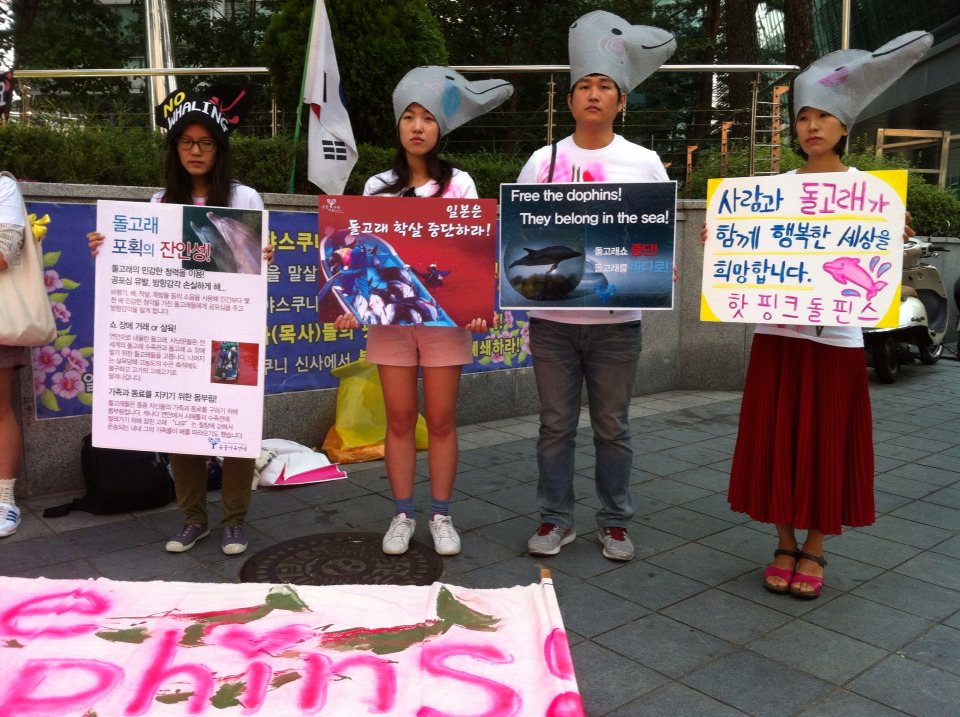 한국 시민사회단체가 모여 일본대사관 앞에서 다이지 돌고래 학살을 멈추라고 촉구했습니다