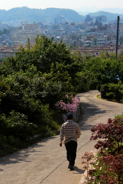 진주 대룡산은 야트막하지만 시내 풍경을 구경하는 즐거움이 걷는 동안 함께한다.